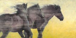 Three Ages of Horse