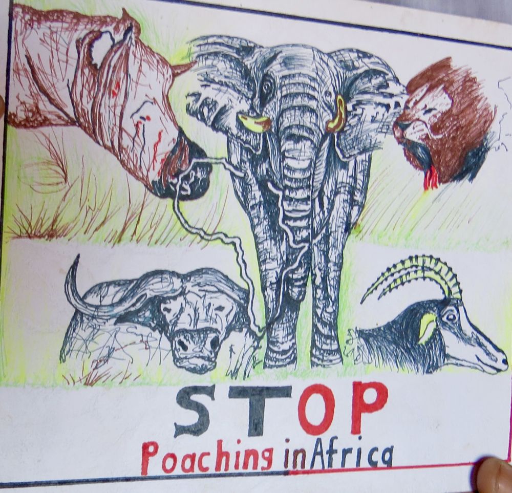 We were so impressed with his grasp of Conservation challenges, we knew we had to help him develop his talents