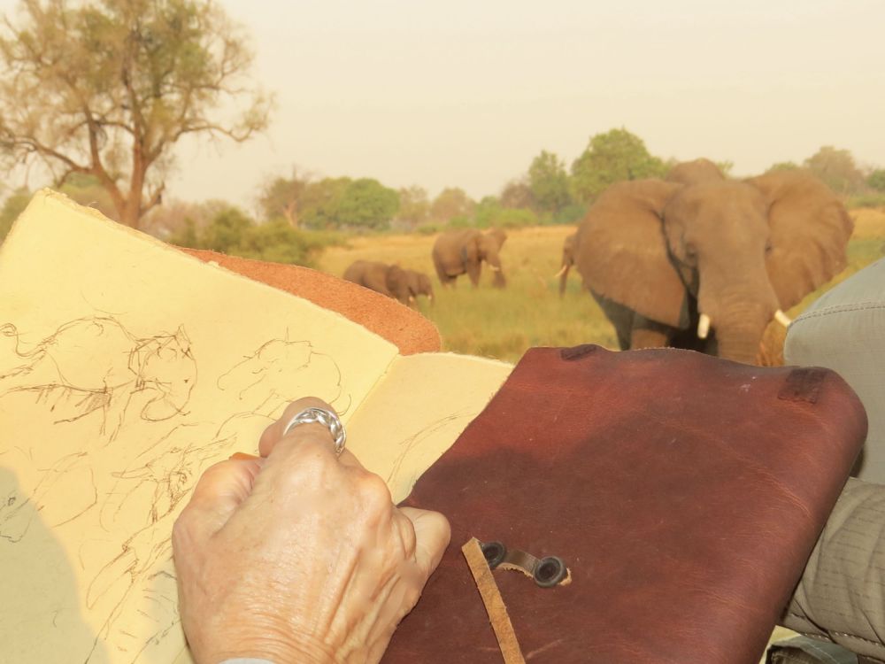 This really nothing like watching elephants in their native habitat