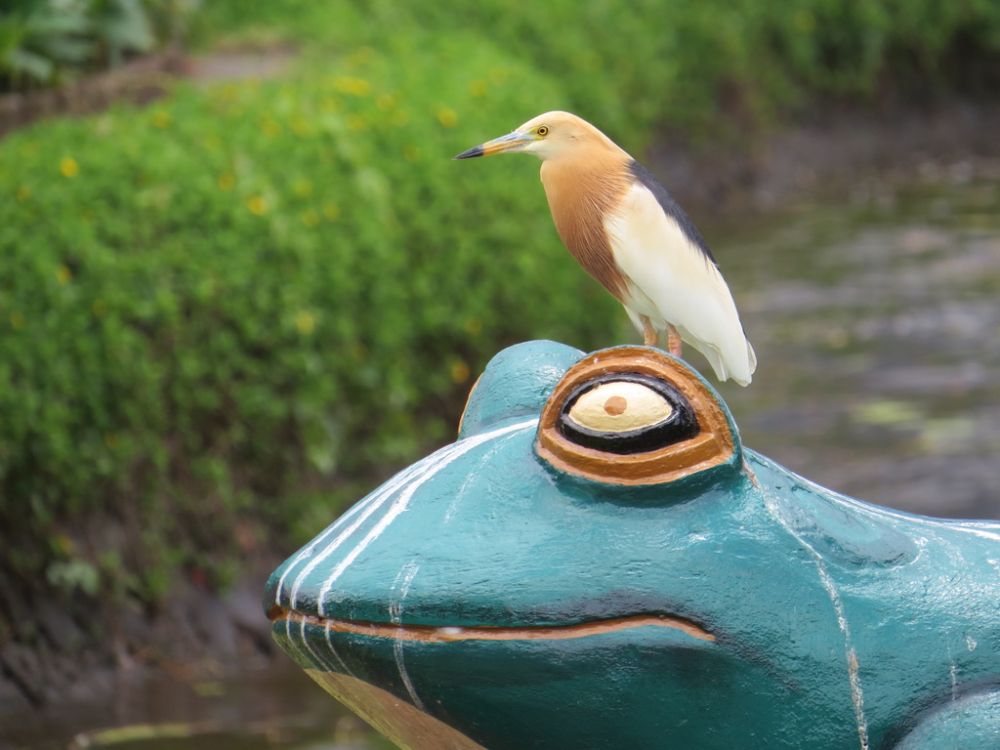 Animals were depicted everywhere, and real wildlife often perched on top of it