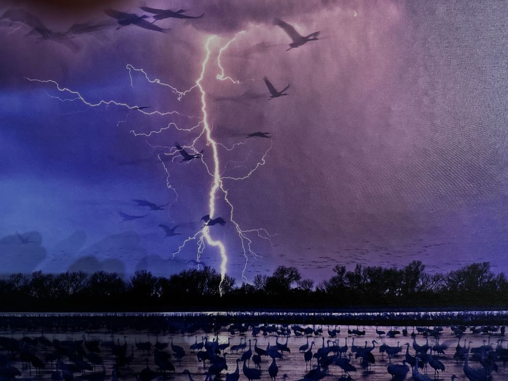 There was so much beautiful photography and videography!