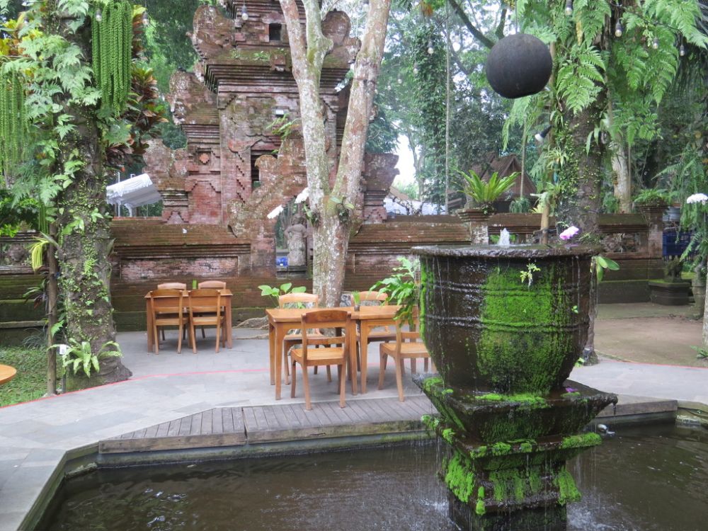 We had a beautiful lunch, surrounded by serene, water filled gardens