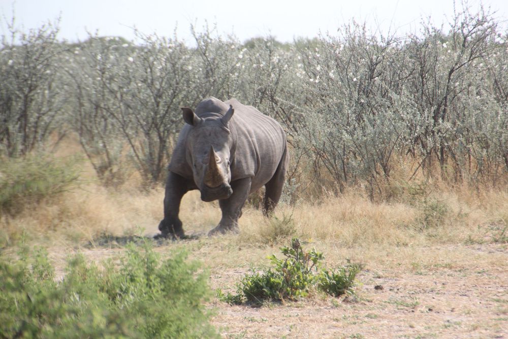Oh, Oh- Papa doesn't like us getting too close to his wife and son.....