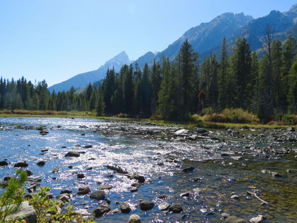 Another Beautiful stream I couldn't resist photographing