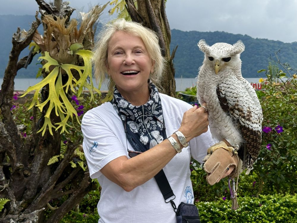 This owl was just beautiful and so soft!