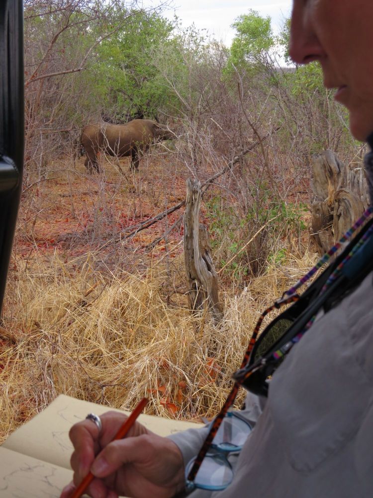 Being in the right time and place to sketch rhinos is not easy