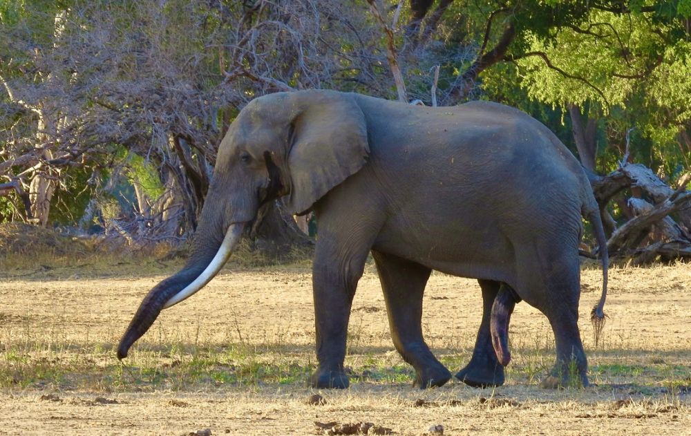 Although we were only there for two days, we had some incredible wildlife encounters.