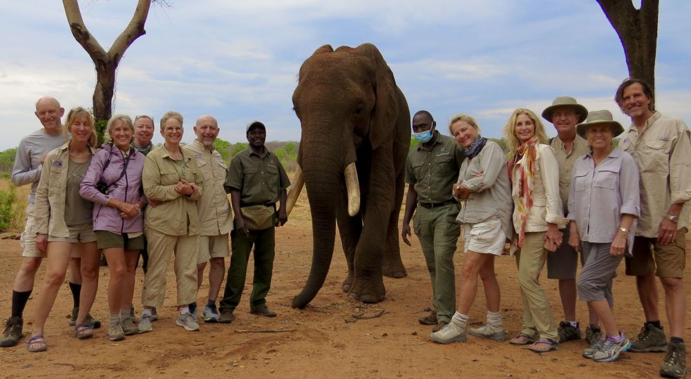Getting to know these elephants really helps understand the importance of conserving that species