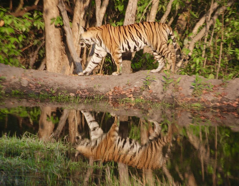 This photo will definitely become an artwork someday