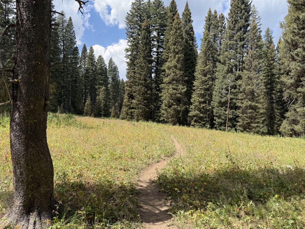 Happy trail in Idaho.