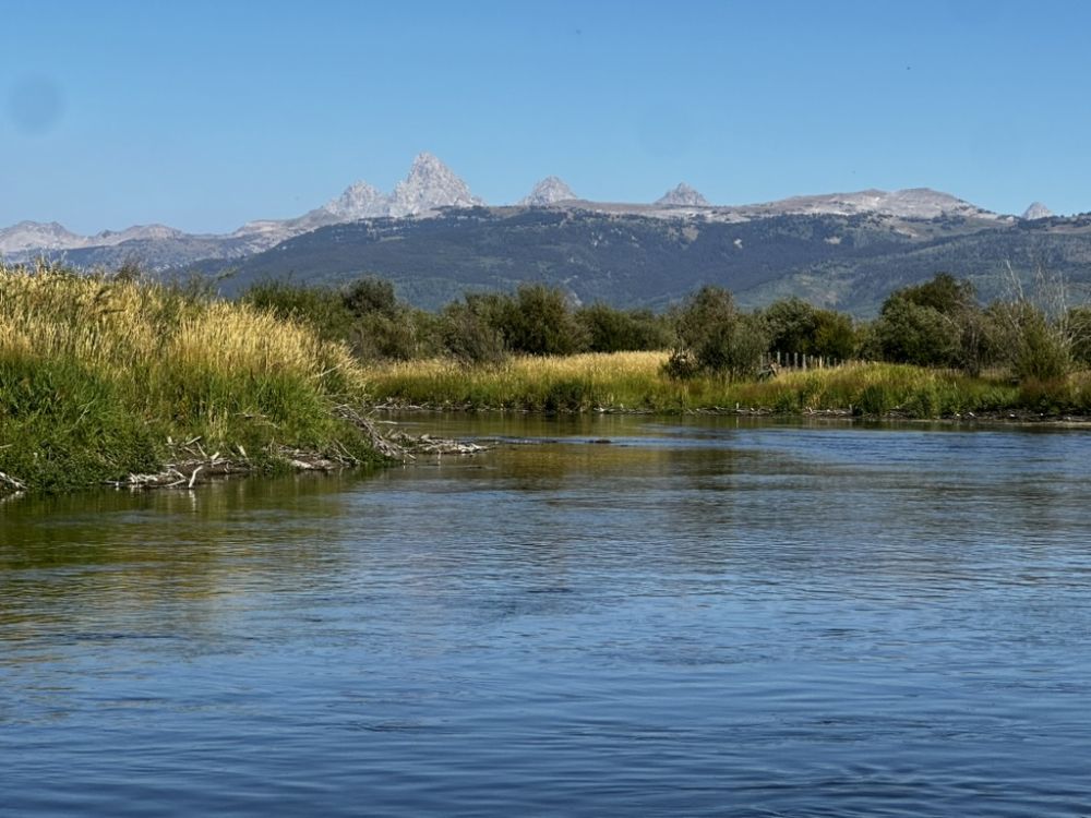 Overwhelming beauty.