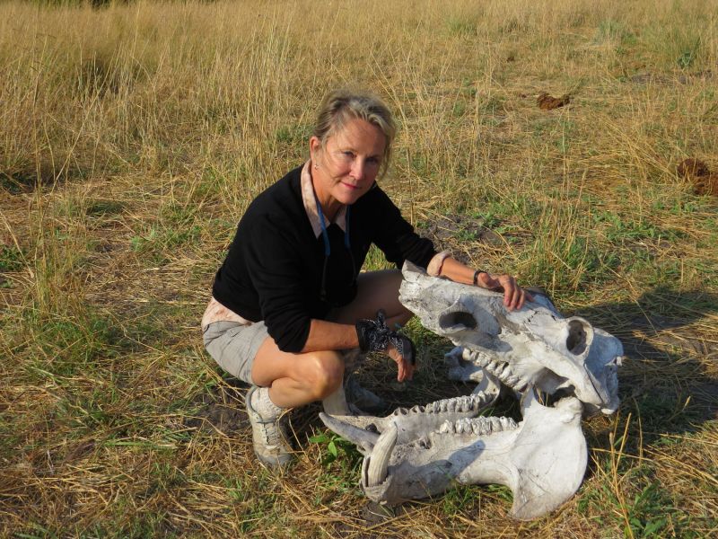One of my favorite discoveries is any large animal  skull we find on our game drives