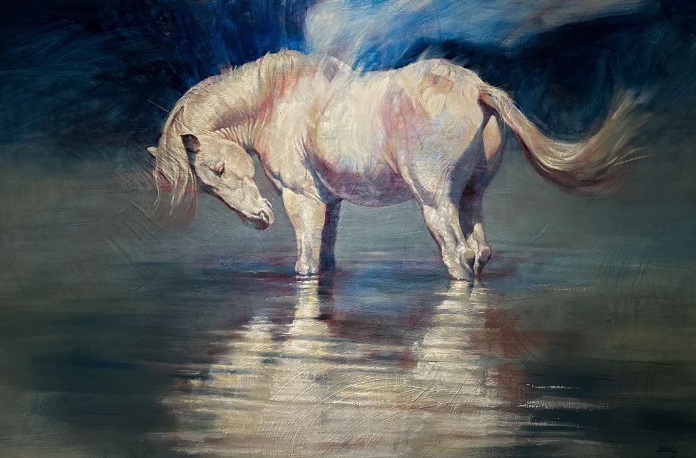 I'm so happy they have