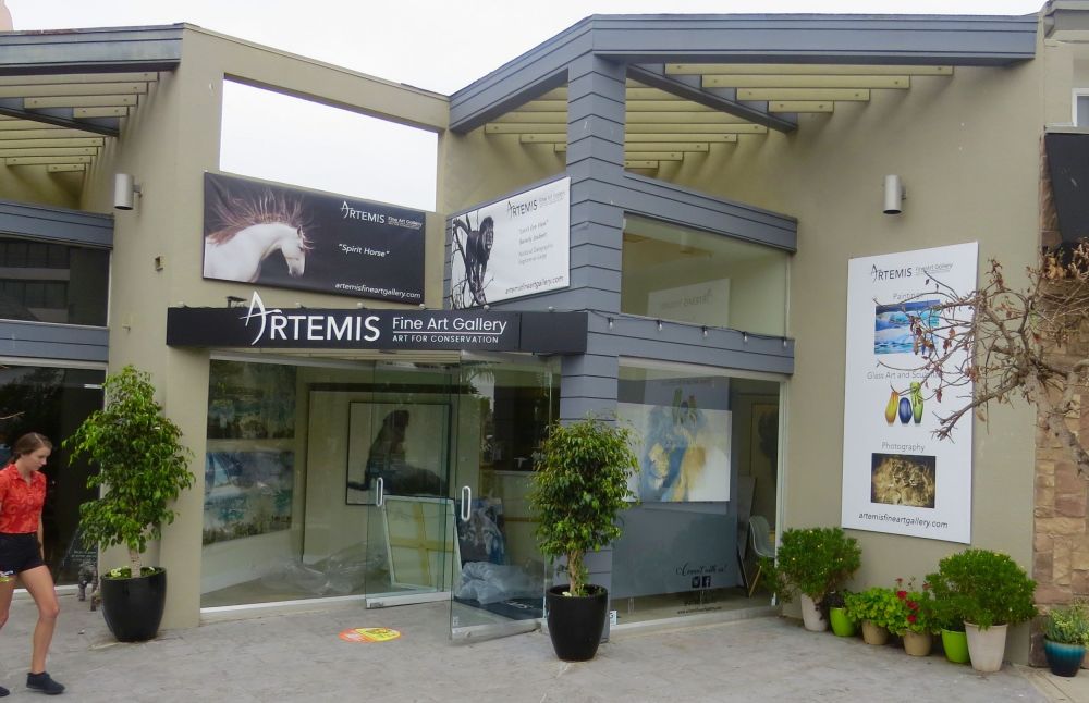  We finally reached our farthest destination- Artemis Gallery