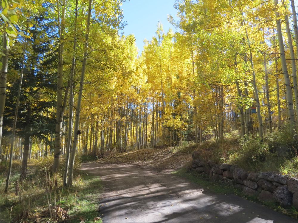 The road up to Jed and Theresa's place was absolutely awesome, 13 miles of gravel roads