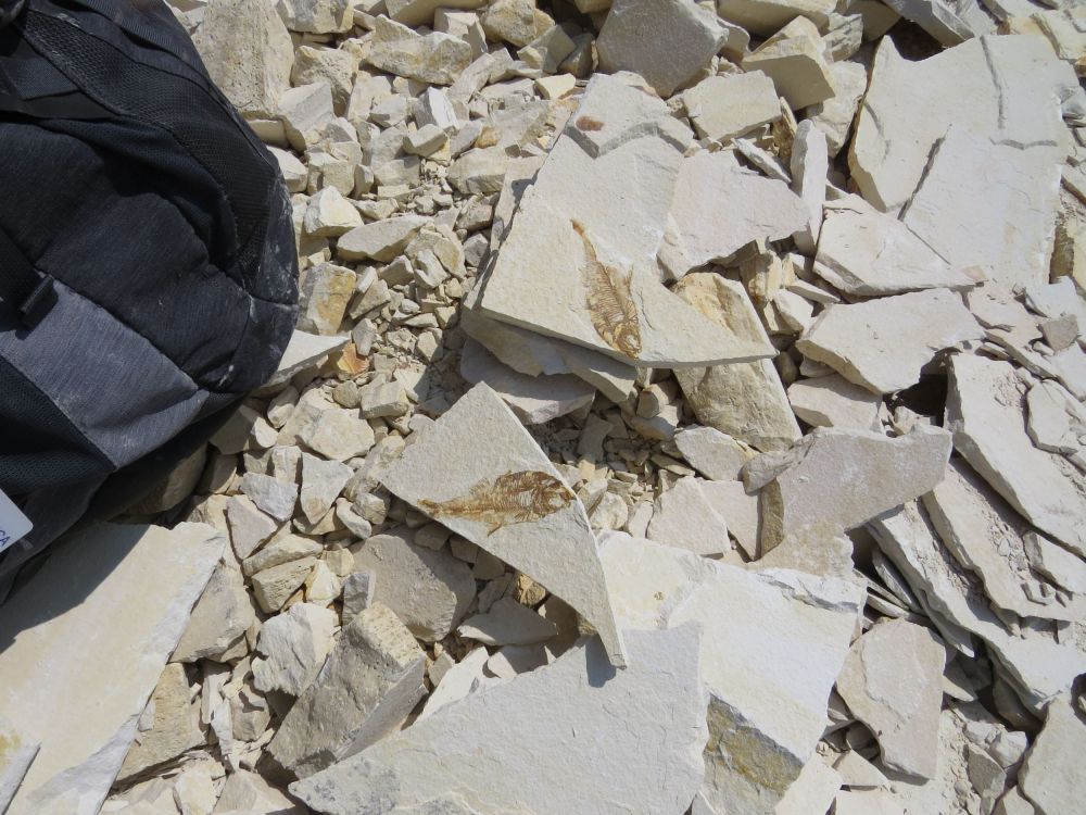  It was really  exciting,never knowing what was inside of the rocks you are breaking up