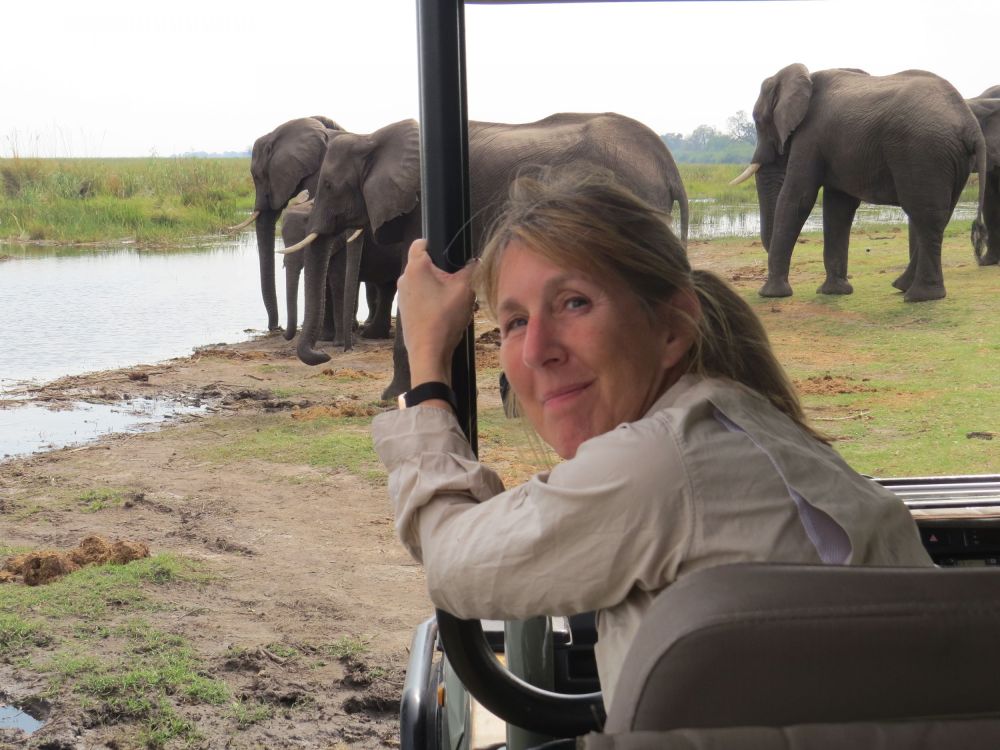There's nothing like just being a couple of yards from a huge herd of elephants
