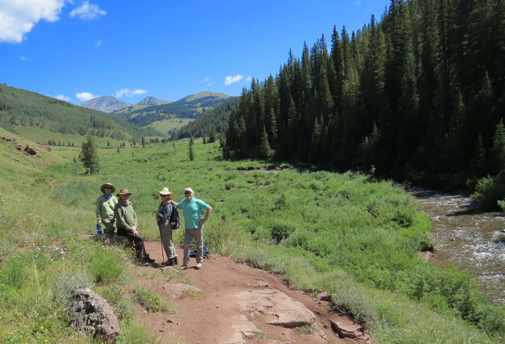 Jed and Teresa's cabin is right on the edge of a huge national forest with no civilization for miles!
