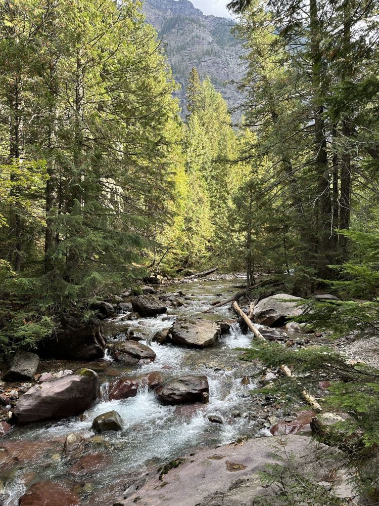 All the trails seemed to follow beautiful streams and rivers
