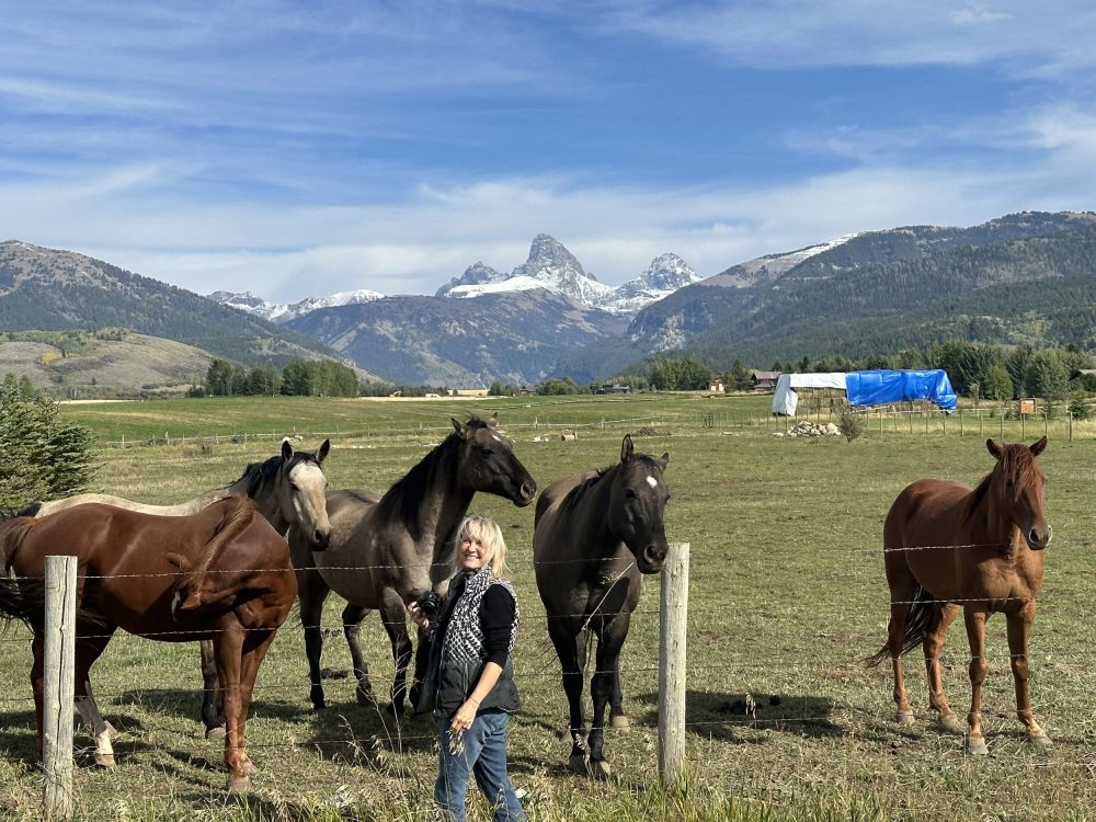 I can never resist walking over to touch horses