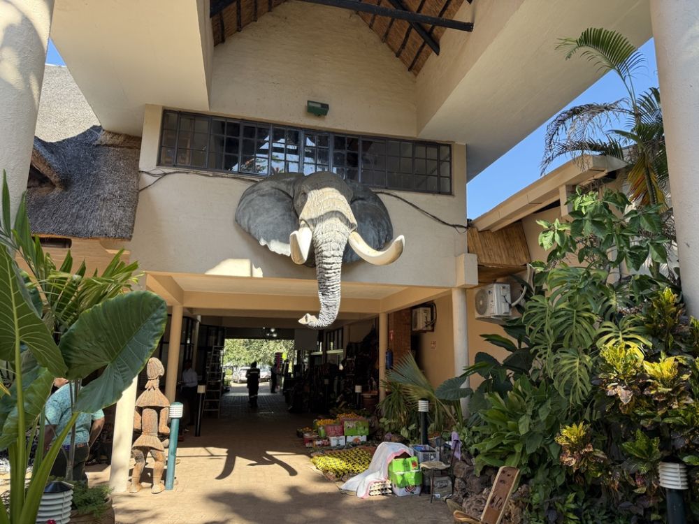 Both Descent and Thembelani have set up a small booth together in this