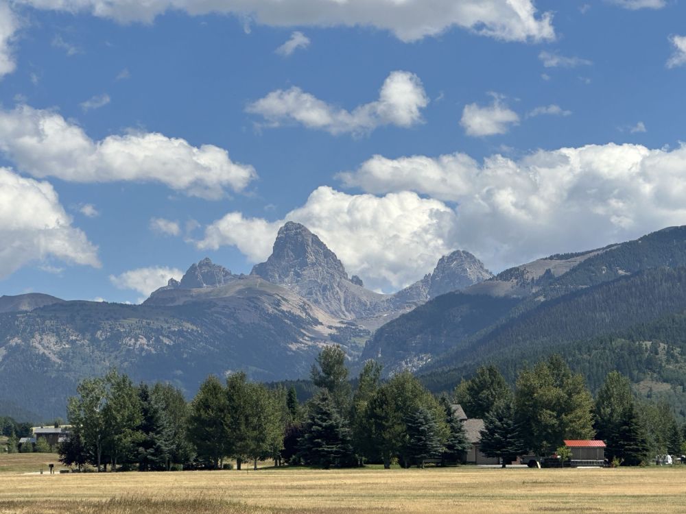 the view from the back of our little garage apartment