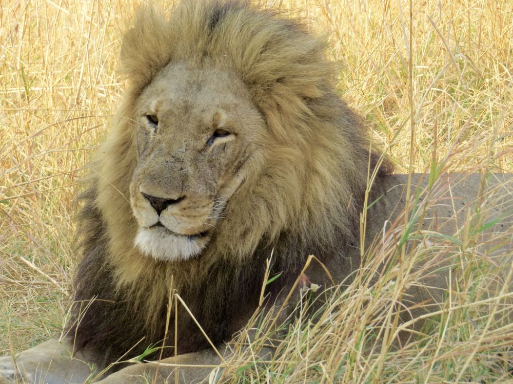  The beautiful, but deadly Males barely acknowledged our presence