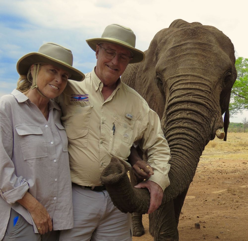 It's always amazing how strong and inquisitive and elephant trunk can be