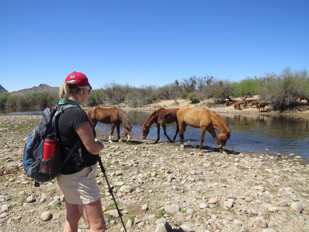  Needless to say I will always remember this beautiful day with friends and wild horses!