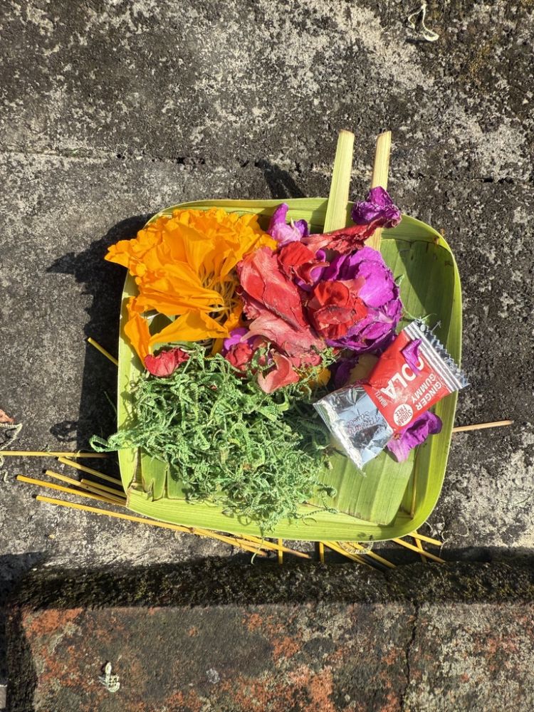 Every day, every temple, every house, and every room in the lodge had a small offering in front for the gods.