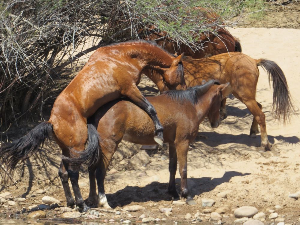  They certainly were ,