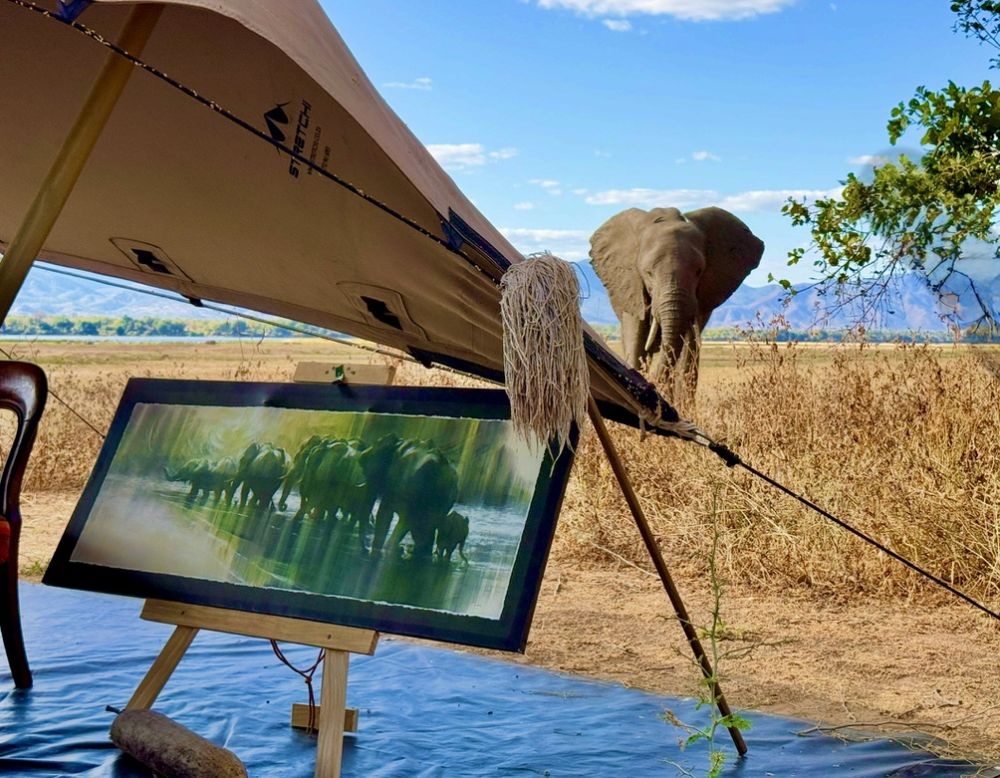 This elephant walked up to the dinner tent and got within five or 10 feet of one of Ann's pieces on display.