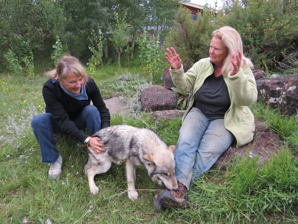  Susan has such a wonderful point of view about the conservation and protection of endangered wildlife