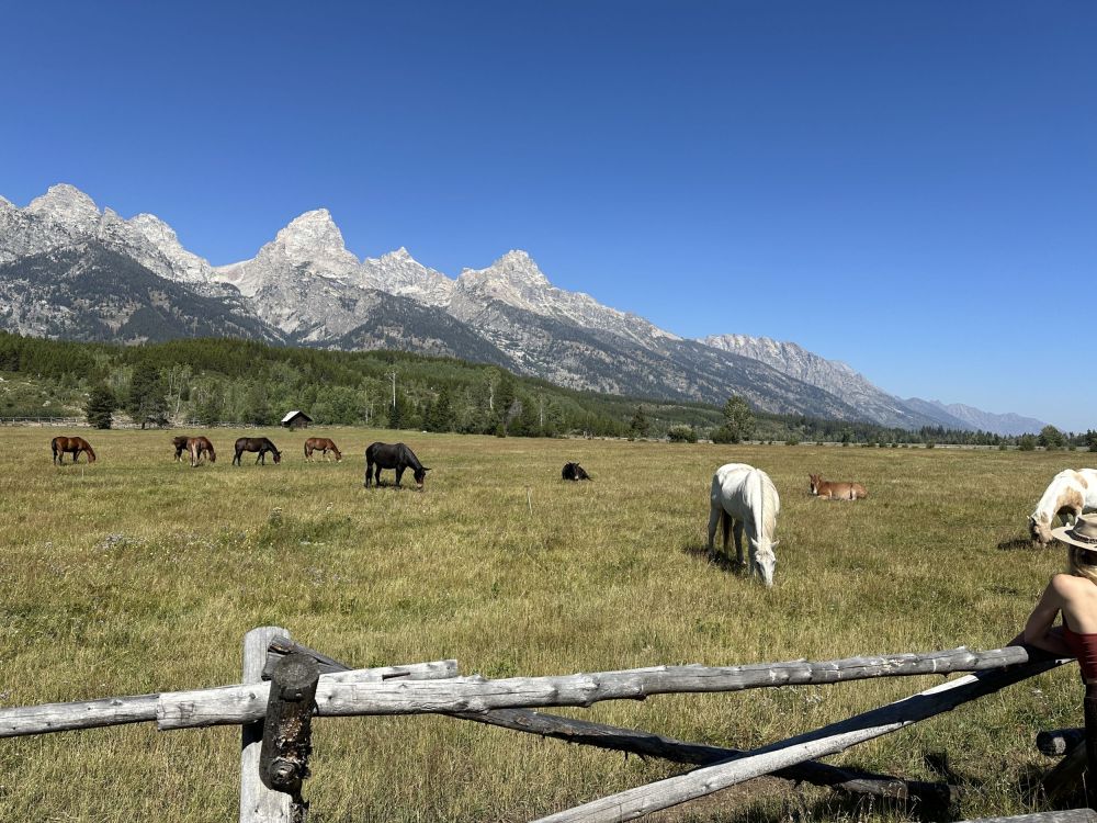 The views of the Tetons are spectacular, and our friends know all the best routes for scenery and light traffic.