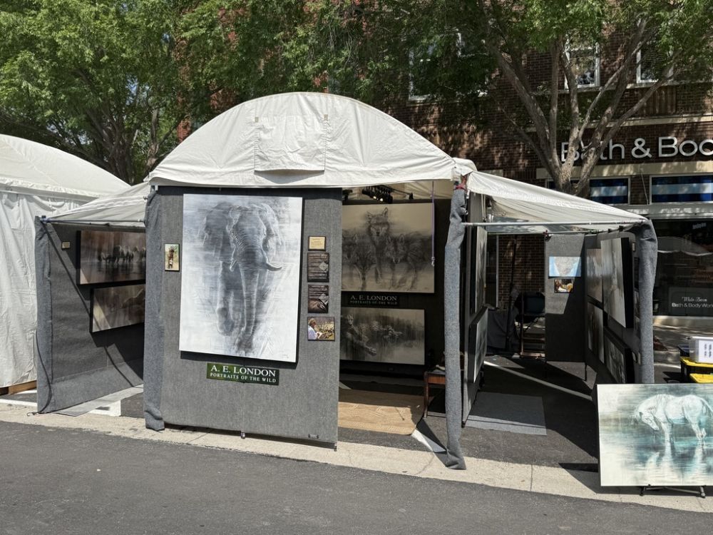 South Lake Art Fest-Dallas