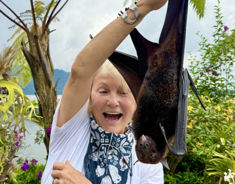 I know why fruit bats are called flying foxes because they are so big and fox like!