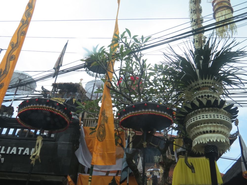 Everywhere we looked in Bali, there were beautiful statues, carvings, and offerings to the Hindu gods