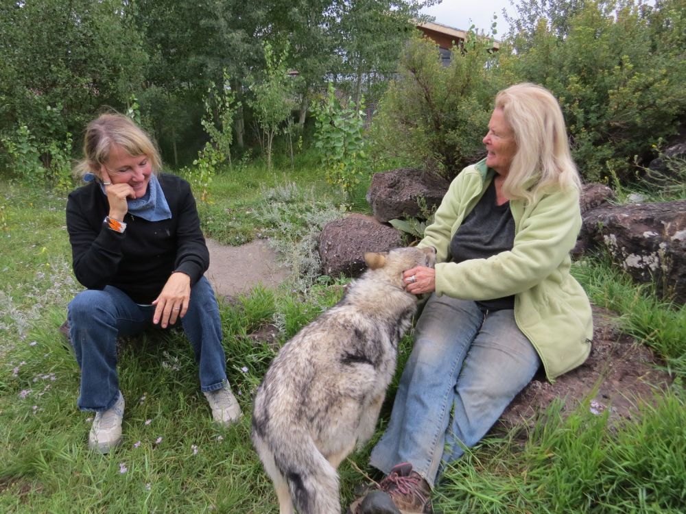  I so enjoyed visiting Dr. Susan Ehrlich at Earth fire Institute- we have so much in common and she is quite inspiring