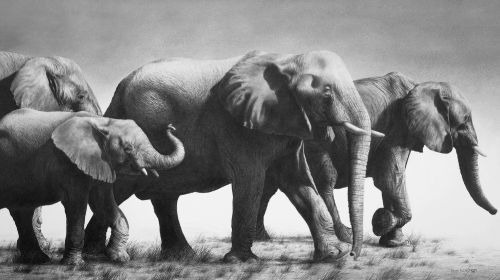 David Bjurstrom has been a friend and fellow artist for many years.