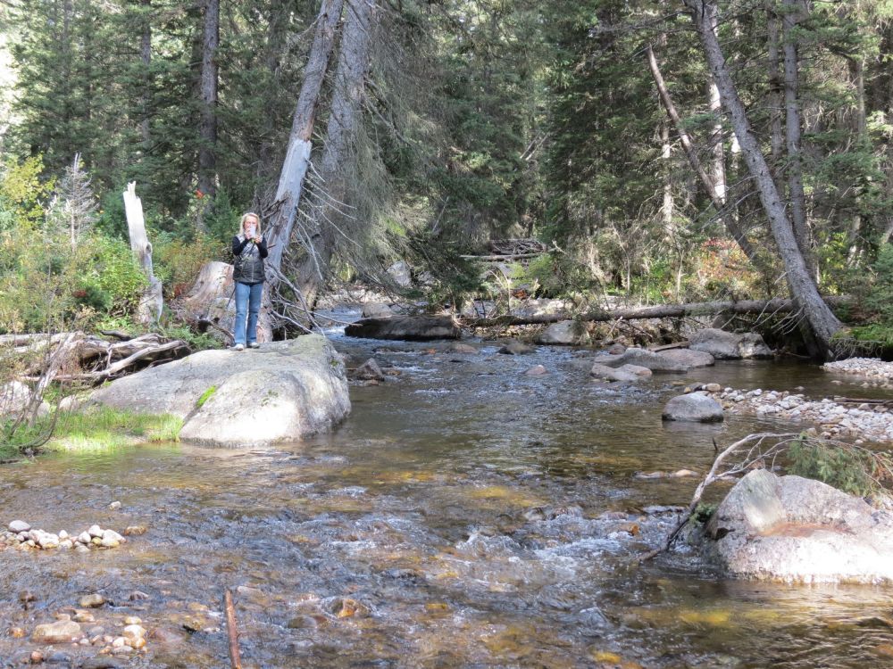 This stream led to a beautiful waterfall