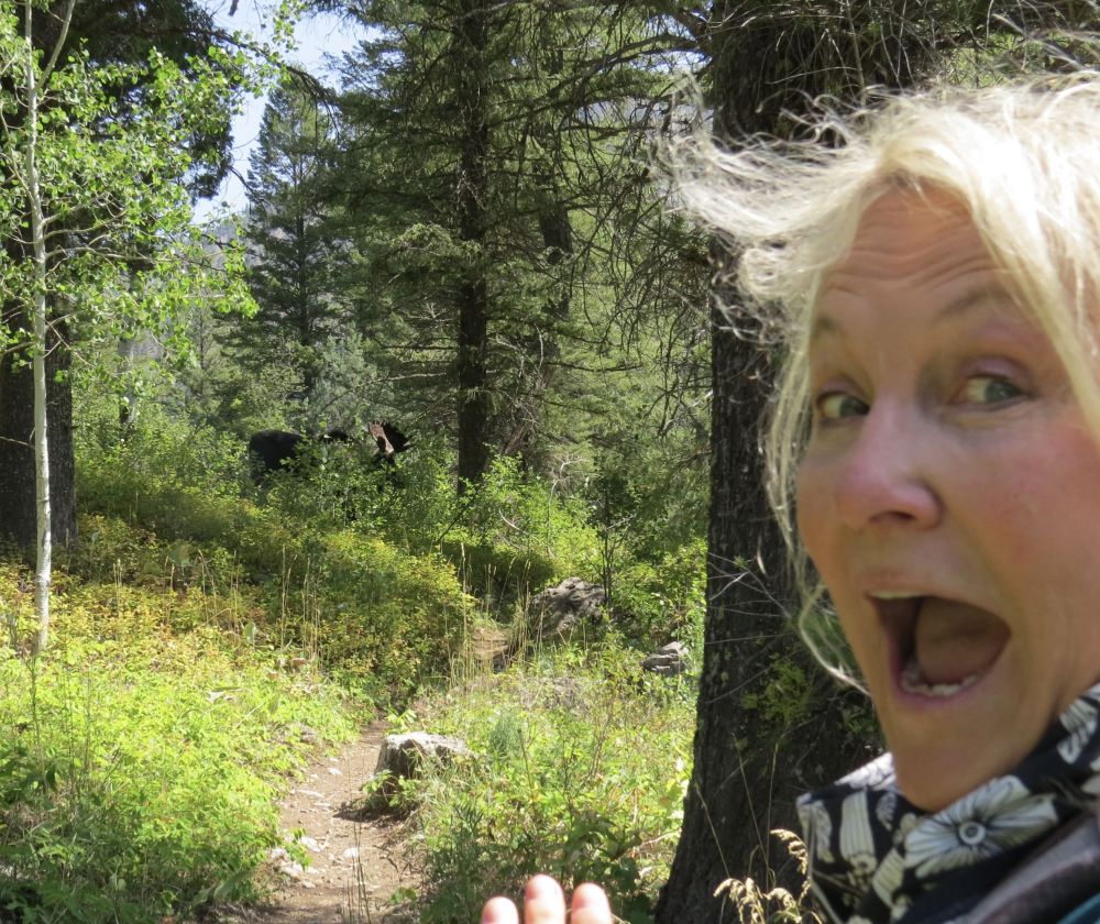 unbelievable! Hiking on a trail nearby and running into a moose is awesome!