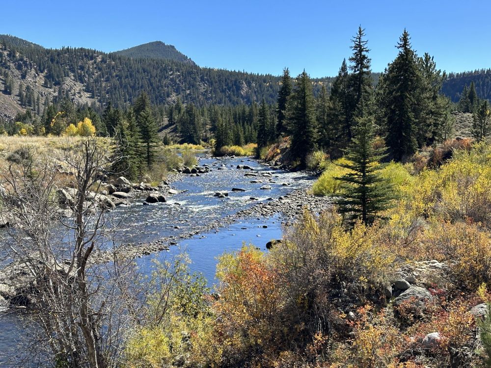 The mountains of Colorado we're at their prime in color