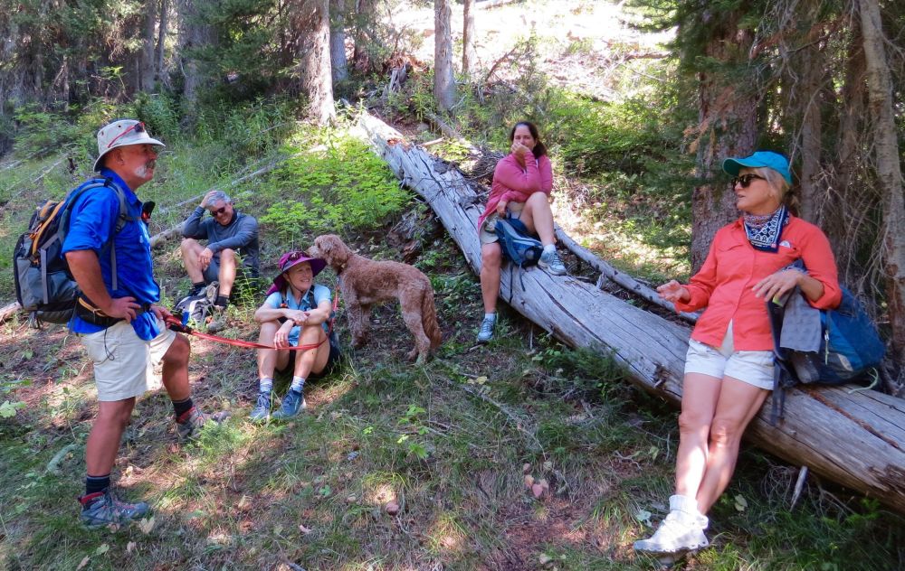 One day we did a great hike with Steve ,Yancey and friends