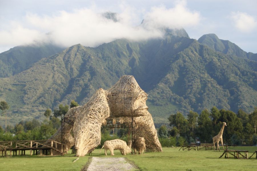 These giant woven figures are the site of the annual gorilla naming ceremonies