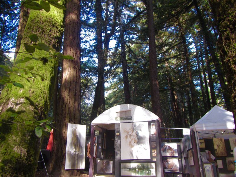 The Kings Mountain arts fair is held in a redwood forest overlooking the Pacific Ocean near Silicon Valley.