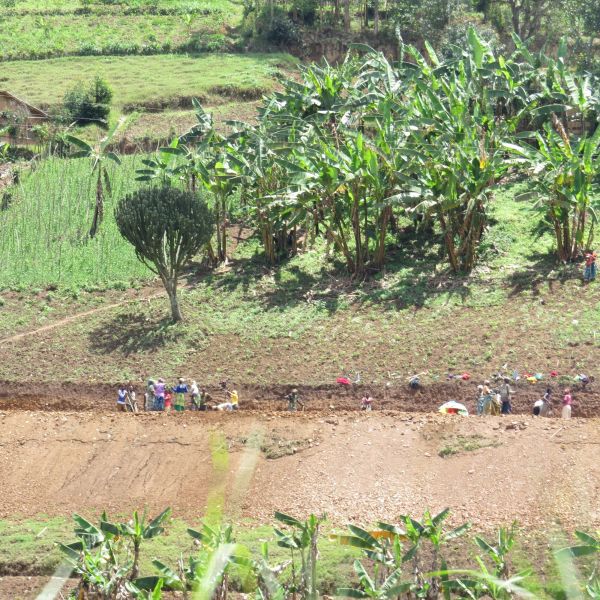 Make no mistake, Rwanda is very  primitive, but it's people are very industrious and hard-working.