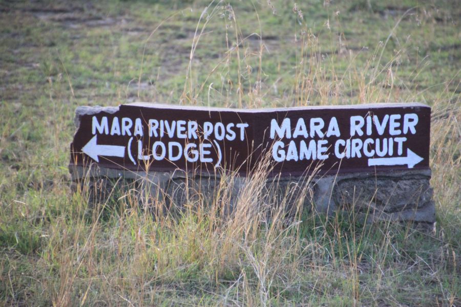 We stayed at Chaka ,a mobile camp,near one of the 10 major fords the animals use to cross the Mara River