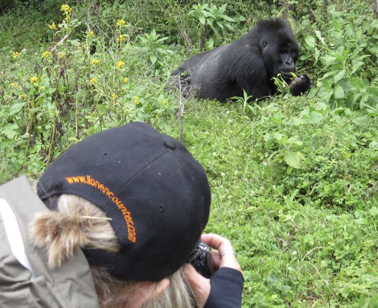 It really was astonishing how close we could get to the gorillas without disturbing them.