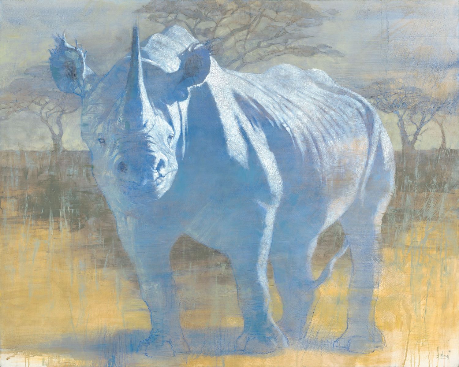 What a magical moment to see this Rhino up close on a beautiful moonlit African night!