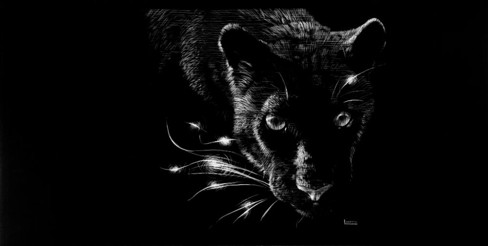 Black Diamonds - Leopard